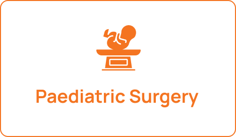 Frame 2131330606 (1)