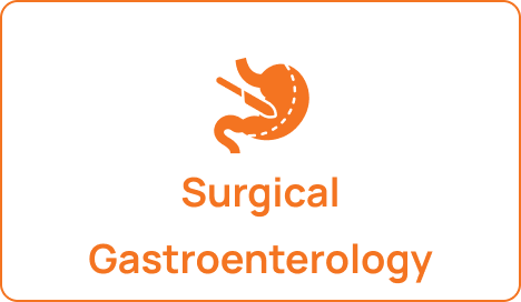 Frame 2131330607 (1)