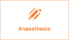 Frame 2131330606 (2)